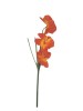 Haste de Orquidea 61001