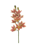 Haste de Orquídea Cymbidium 3D 87224